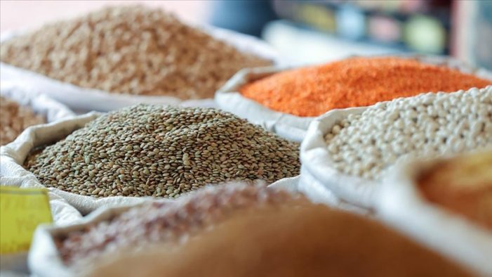 Baharat ve tohum ithalatına düzenleme Resmi Gazete’de yayınlandı..