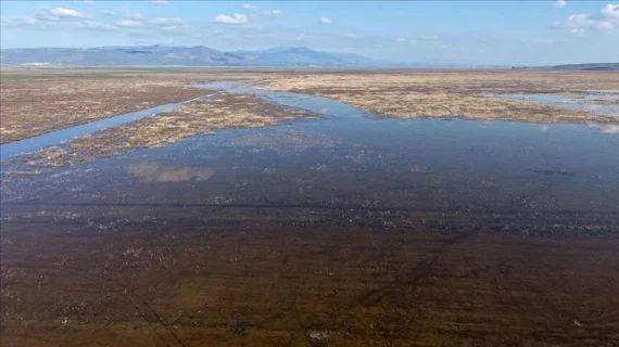Marmara Gölü 5 yıl sonra yeniden su tuttu..