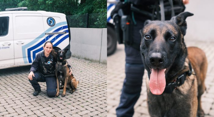 Brüksel Polisinin Yeni Kahramanı: Narkotik Köpeği Bob Göreve Başladı