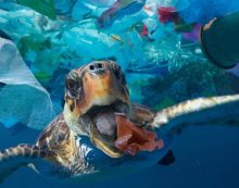 Plastik Kirliliğinde Devrim: Yaşayan Plastik Plastik Kirliliğinde Devrim: Yaşayan Plastik