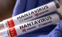 ABD, Hantavirüs vakalarını “3. seviye acil durum” koduyla takibe aldı..