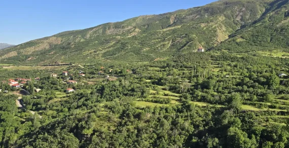 Şırnak’ta ormanlara girişler yasaklandı..