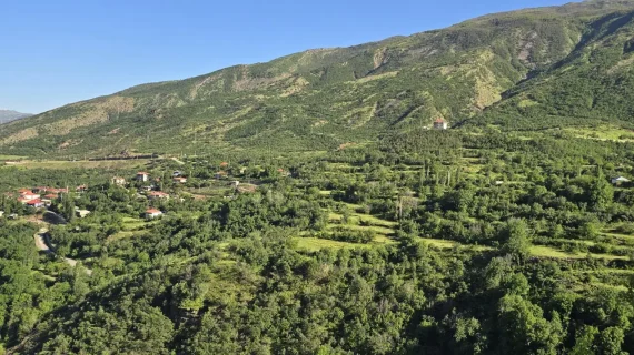 Şırnak’ta ormanlara girişler yasaklandı..