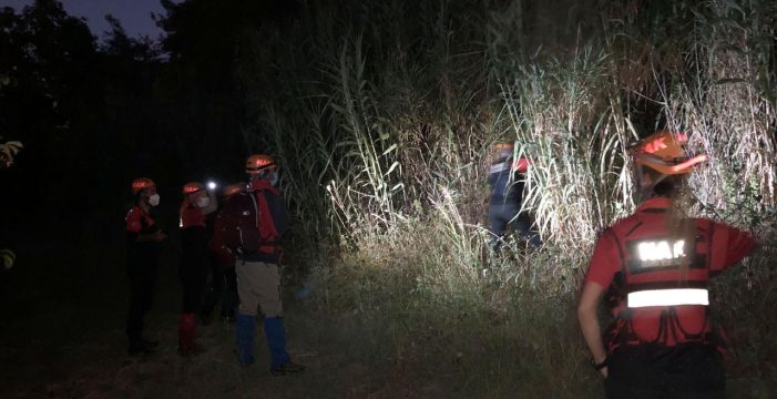Kayıp başvurusu yapılan kadının cansız bedeni ormanda bulundu..