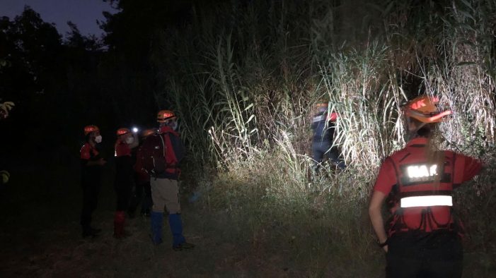 Kayıp başvurusu yapılan kadının cansız bedeni ormanda bulundu..